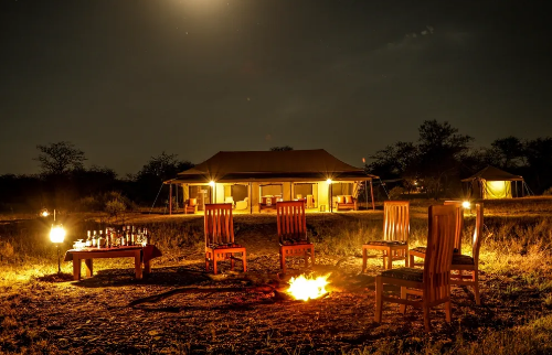 Into Wild Tented Camp