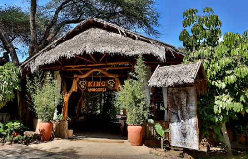 Kibo Safari Camp