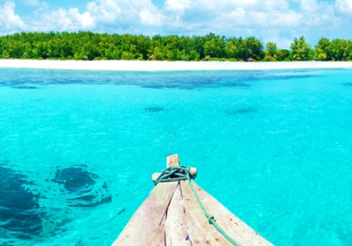 Mnemba Island