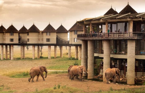 Sarova Salt Lick
