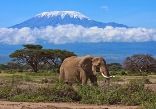 Mt.Kilimanjaro