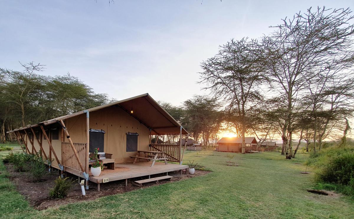 Africa Safari Lake Manyara Lodge