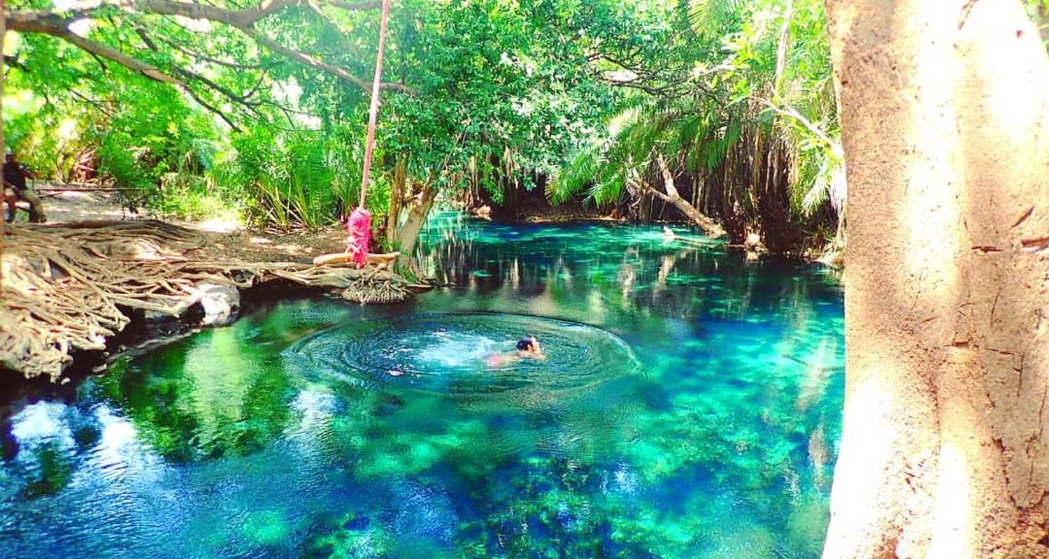 Kikuletwa Hot Springs