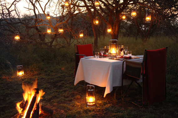 Romantic Dinner in the Savanna