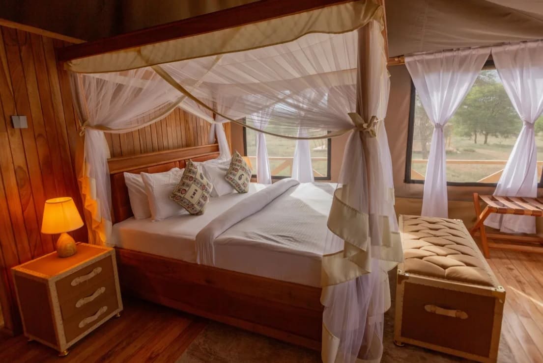 Signature Serengeti